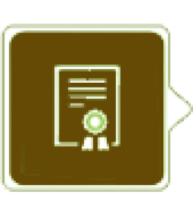 Báo Giá Xây Nhà Phần Thô Năm 2026